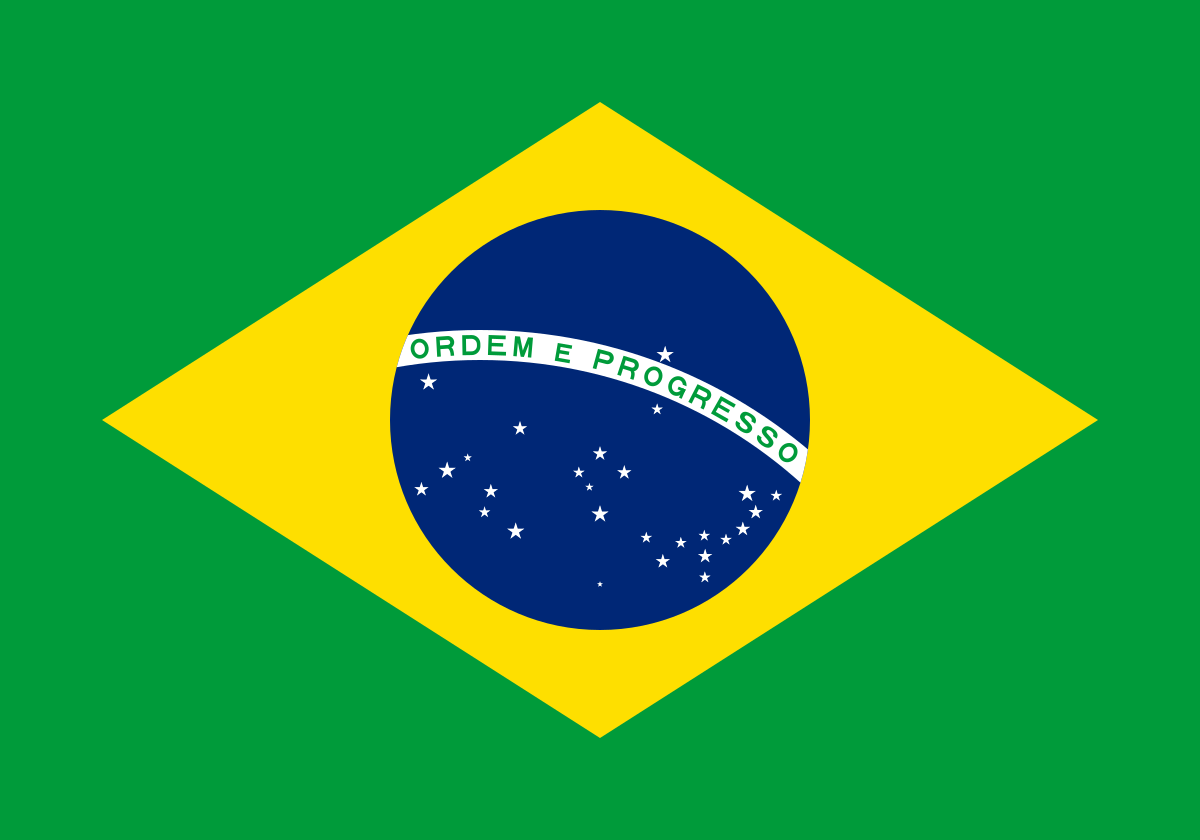 Il Brasile e la pandemia
